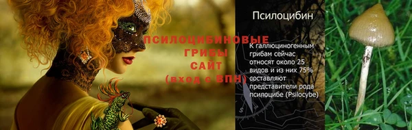прущие крисы Новодвинск